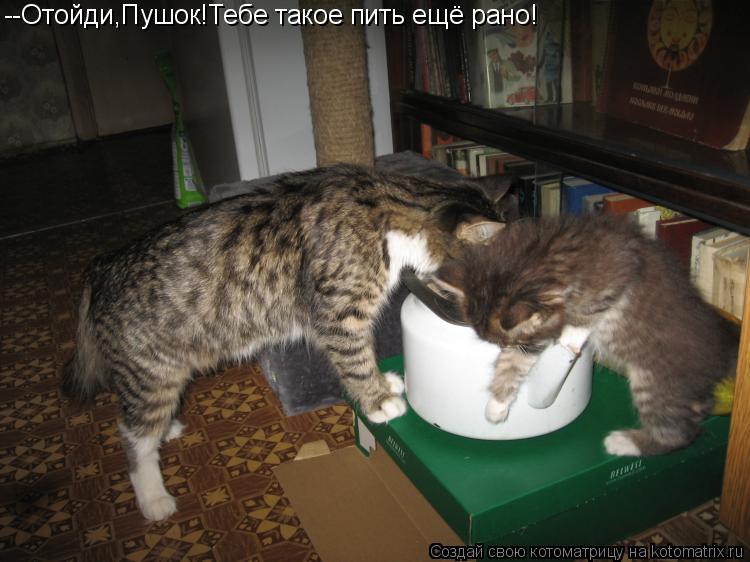 --Отойди,Пушок!Тебе такое пить ещё рано!... Котоматрица: --Отойди,Пушок!Тебе такое пить ещё рано!