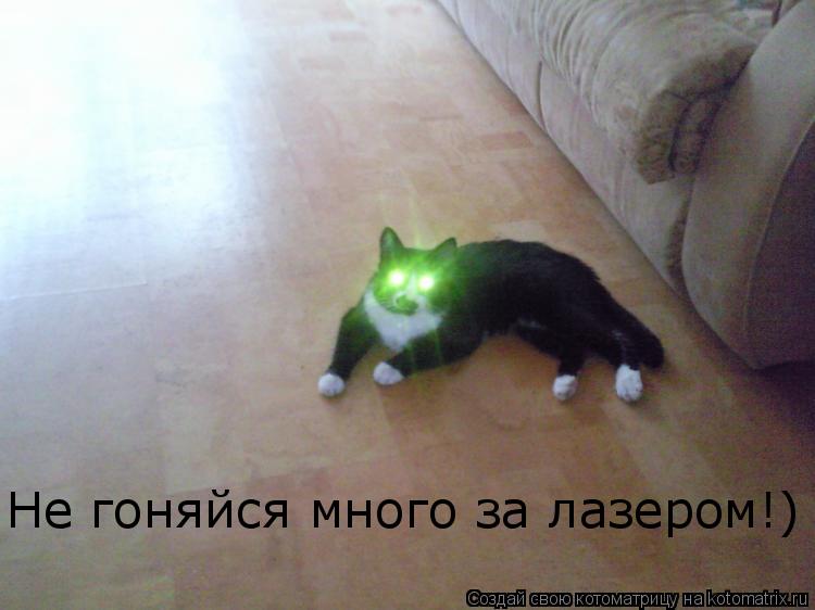 Не гоняйся много за лазером!)... Котоматрица: Не гоняйся много за лазером!)