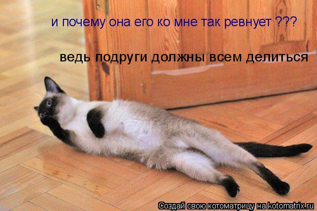 и почему она его ко мне так ревнует ??? ведь подруги должны всем делиться... Котоматрица: и почему она его ко мне так ревнует ??? ведь подруги должны всем делиться