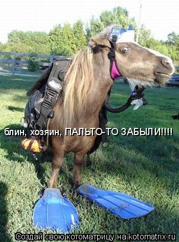 блин, хозяин, ПАЛЬТО-ТО ЗАБЫЛИ!!!!... Котоматрица: блин, хозяин, ПАЛЬТО-ТО ЗАБЫЛИ!!!!