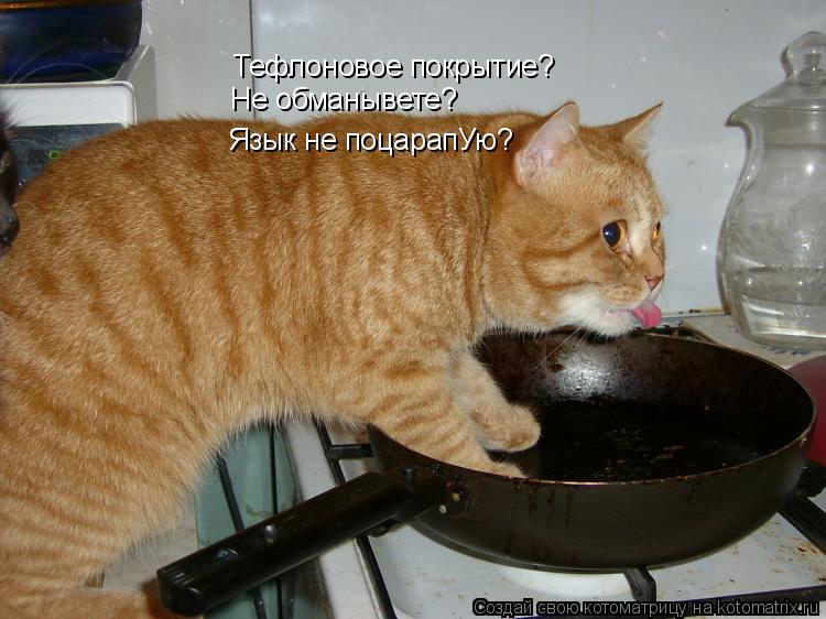Тефлоновое покрытие? Не обманывете? Язык не поцарапУю?... Котоматрица: Тефлоновое покрытие? Не обманывете? Язык не поцарапУю?