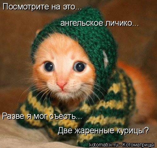 Посмотрите на это... ангельское личико... Разве я мог съесть... Две жаренные курицы?... Котоматрица: Посмотрите на это... ангельское личико... Разве я мог съесть... Две жаренные курицы?