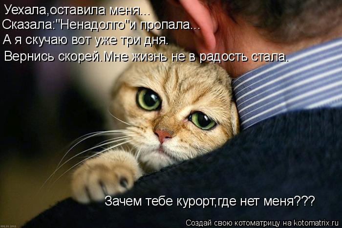 Уехала,оставила меня... Сказала:"Ненадолго"и пропала... А я скучаю вот уже три дня. Вернись скорей.Мн... Котоматрица: Уехала,оставила меня... Сказала:"Ненадолго"и пропала... А я скучаю вот уже три дня. Вернись скорей.Мне жизнь не в радость стала. Зачем тебе куро