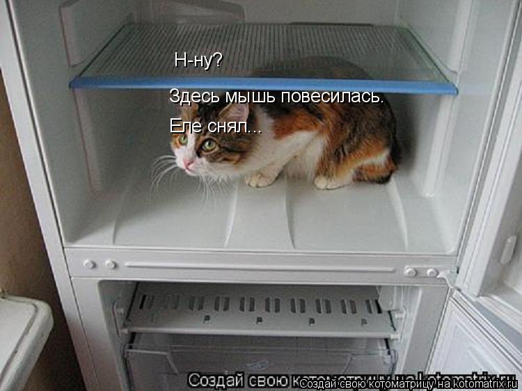 Н-ну? Здесь мышь повесилась. Еле снял...... Котоматрица: Н-ну? Здесь мышь повесилась. Еле снял...