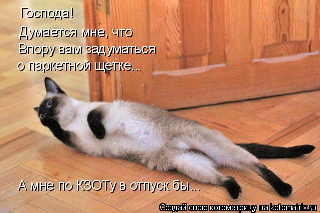 Господа! Думается мне, что Впору вам задуматься о паркетной щетке... А мне по КЗОТу в отпуск бы...... Котоматрица: Господа! Думается мне, что Впору вам задуматься о паркетной щетке... А мне по КЗОТу в отпуск бы...