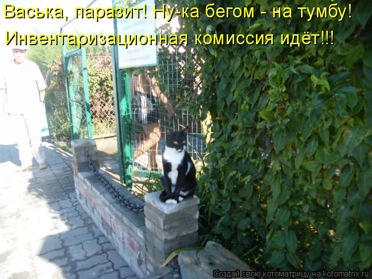 Васька, паразит! Ну-ка бегом - на тумбу! Инвентаризационная комиссия идёт!!!... Котоматрица: Васька, паразит! Ну-ка бегом - на тумбу! Инвентаризационная комиссия идёт!!!