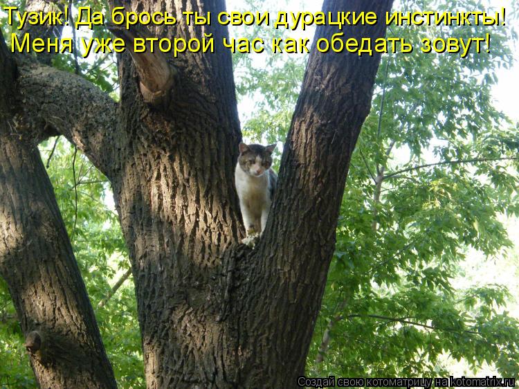 Тузик! Да брось ты свои дурацкие инстинкты! Меня уже второй час как обедать зовут!... Котоматрица: Тузик! Да брось ты свои дурацкие инстинкты! Меня уже второй час как обедать зовут!