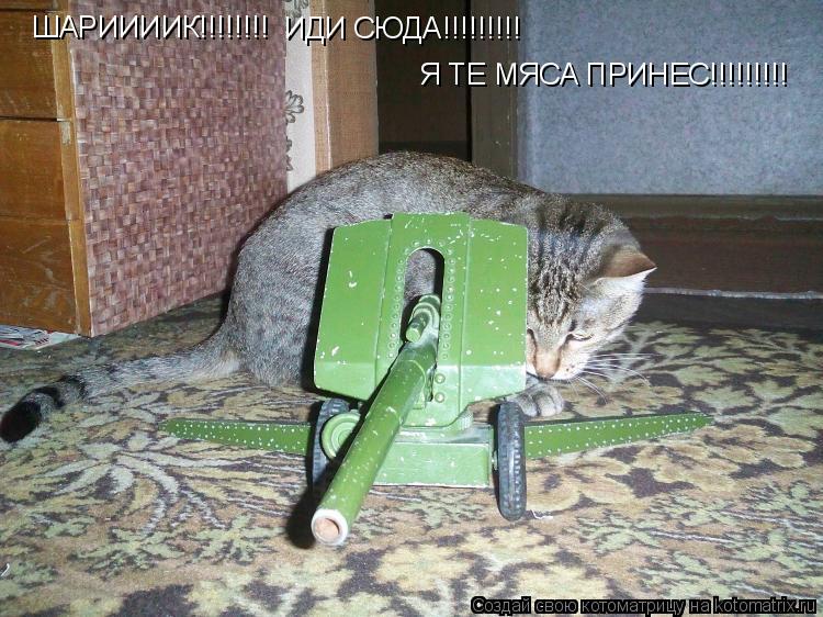 ШАРИИИИК!!!!!!!! ИДИ СЮДА!!!!!!!!! Я ТЕ МЯСА ПРИНЕС!!!!!!!!!... Котоматрица: ШАРИИИИК!!!!!!!! ИДИ СЮДА!!!!!!!!! Я ТЕ МЯСА ПРИНЕС!!!!!!!!!