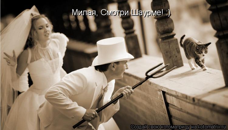 Милая, Смотри Шаурме! :)... Котоматрица: Милая, Смотри Шаурме! :)