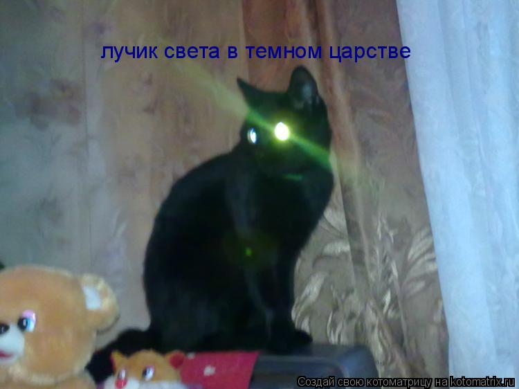 лучик света в темном царстве... Котоматрица: лучик света в темном царстве