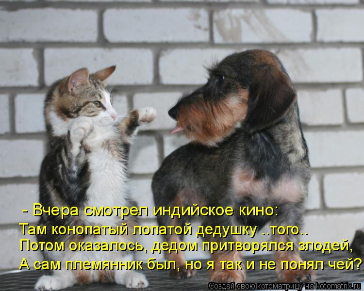 Потом оказалось, дедом притворялся злодей, - Вчера смотрел индийское кино: Там конопатый лопатой деду... Котоматрица: Потом оказалось, дедом притворялся злодей, - Вчера смотрел индийское кино: Там конопатый лопатой дедушку ..того.. А сам племянник был, но я та