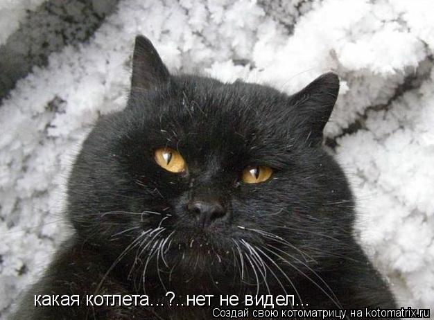 какая котлета...?..нет не видел...... Котоматрица: какая котлета...?..нет не видел...