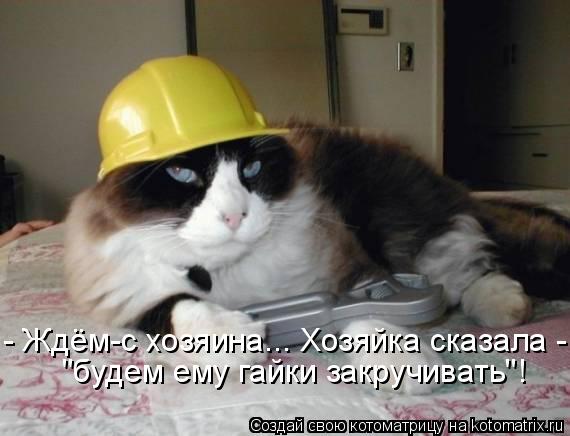 - Ждём-с хозяина... Хозяйка сказала - "будем ему гайки закручивать"!... Котоматрица: - Ждём-с хозяина... Хозяйка сказала - "будем ему гайки закручивать"!