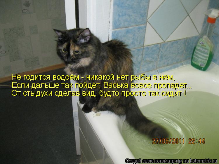 Не годится водоём - никакой нет рыбы в нём, Если дальше так пойдёт, Васька вовсе пропадет... От стыду... Котоматрица: Не годится водоём - никакой нет рыбы в нём, Если дальше так пойдёт, Васька вовсе пропадет... От стыдухи сделав вид, будто просто так сидит !