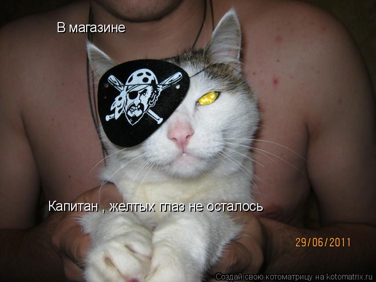 В магазине Капитан , желтых глаз не осталось... Котоматрица: В магазине Капитан , желтых глаз не осталось