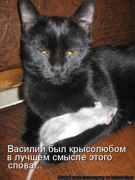 Василий был крысолюбом в лучшем смысле этого слова...... Котоматрица: Василий был крысолюбом в лучшем смысле этого слова...