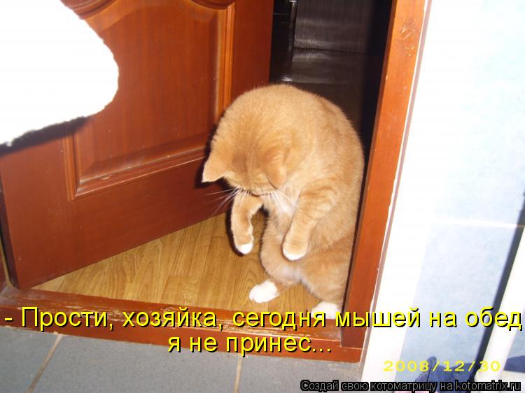 - Прости, хозяйка, сегодня мышей на обед я не принес...... Котоматрица: - Прости, хозяйка, сегодня мышей на обед я не принес...
