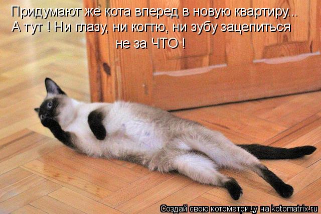 Придумают же кота вперед в новую квартиру... А тут ! Ни глазу, ни когтю, ни зубу зацепиться не за ЧТО... Котоматрица: Придумают же кота вперед в новую квартиру... А тут ! Ни глазу, ни когтю, ни зубу зацепиться не за ЧТО !