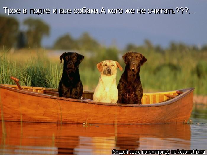 Трое в лодке и все собаки.А кого же не считать???....... Котоматрица: Трое в лодке и все собаки.А кого же не считать???....