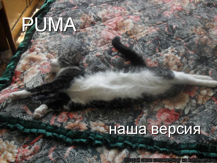 PUMA наша версия... Котоматрица: PUMA наша версия