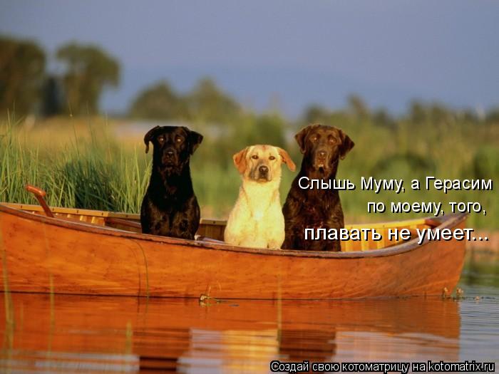 Слышь Муму, а Герасим по моему, того, плавать не умеет...... Котоматрица: Слышь Муму, а Герасим по моему, того, плавать не умеет...