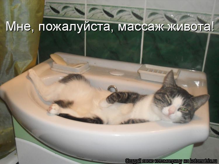 Мне, пожалуйста, массаж живота!... Котоматрица: Мне, пожалуйста, массаж живота!