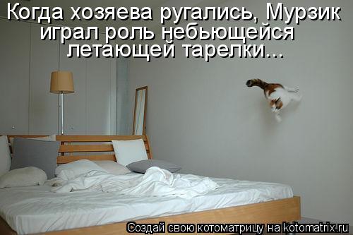 Когда хозяева ругались, Мурзик играл роль небьющейся летающей тарелки...... Котоматрица: Когда хозяева ругались, Мурзик играл роль небьющейся летающей тарелки...
