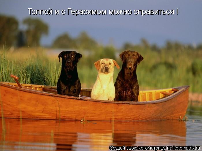 Толпой и с Герасимом можно справиться !... Котоматрица: Толпой и с Герасимом можно справиться !