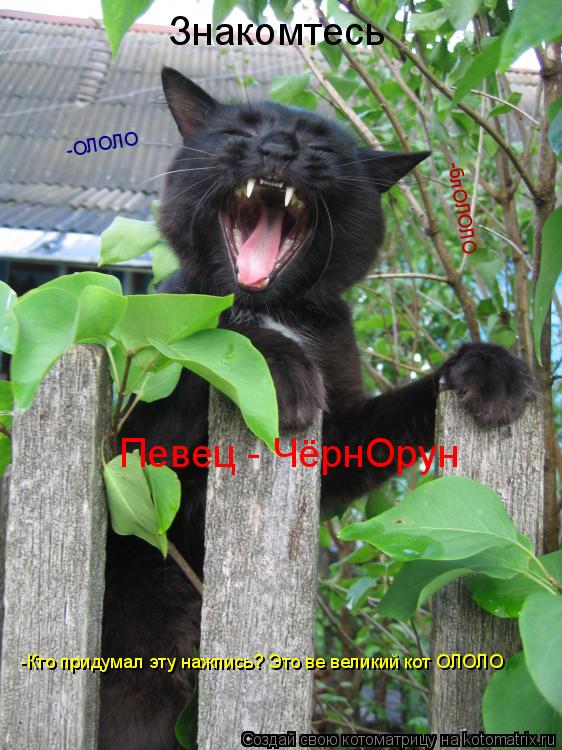 Знакомтесь Певец - ЧёрнОрун -Кто придумал эту нажпись? Это ве великий кот ОЛОЛО -ОЛОЛО -блОЛОЛО... Котоматрица: Знакомтесь Певец - ЧёрнОрун -Кто придумал эту нажпись? Это ве великий кот ОЛОЛО -ОЛОЛО -блОЛОЛО
