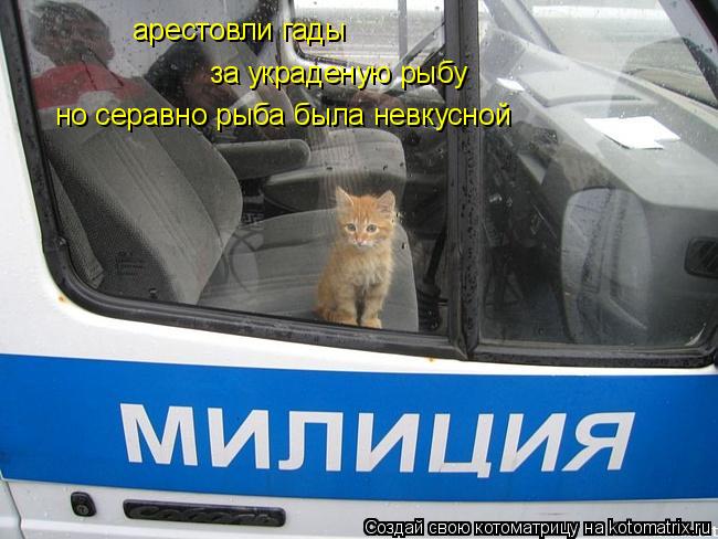 арестовли гады за украденую рыбу но серавно рыба была невкусной... Котоматрица: арестовли гады за украденую рыбу но серавно рыба была невкусной