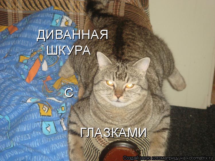 ДИВАННАЯ ШКУРА С ГЛАЗКАМИ... Котоматрица: ДИВАННАЯ ШКУРА С ГЛАЗКАМИ