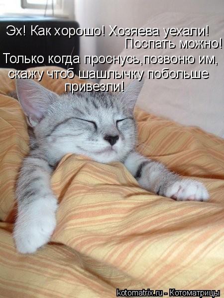 Эх! Как хорошо! Хозяева уехали! Поспать можно! Только когда проснусь,позвоню им, скажу чтоб шашлычку ... Котоматрица: Эх! Как хорошо! Хозяева уехали! Поспать можно! Только когда проснусь,позвоню им, скажу чтоб шашлычку побольше привезли!