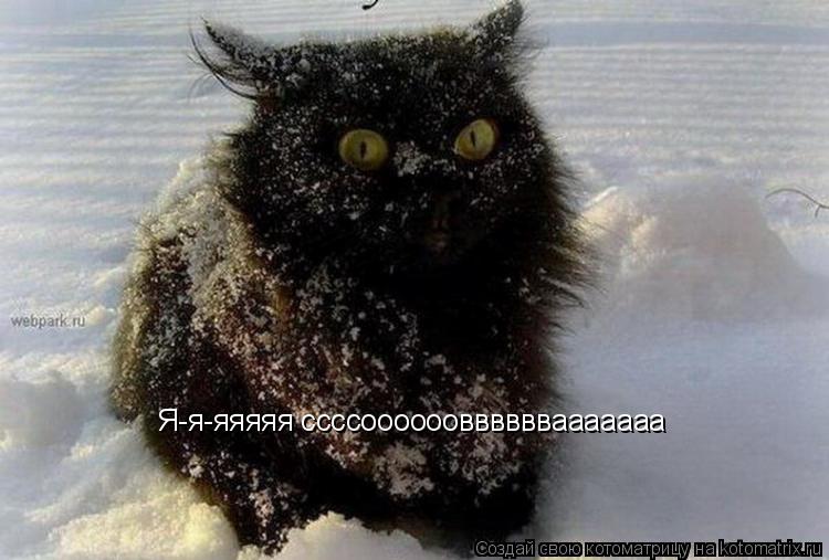 Я-я-яяяяя ссссооооооввввввааааааа... Котоматрица: Я-я-яяяяя ссссооооооввввввааааааа
