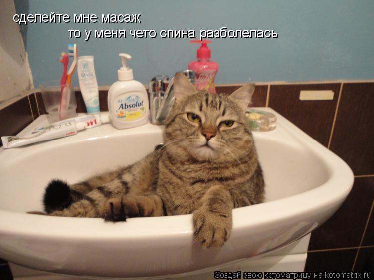 сделейте мне масаж то у меня чето спина разболелась... Котоматрица: сделейте мне масаж то у меня чето спина разболелась