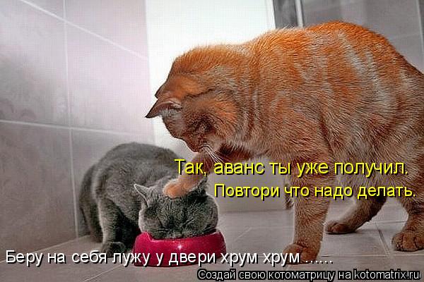 Так, аванс ты уже получил. Повтори что надо делать. Беру на себя лужу у двери хрум хрум ......... Котоматрица: Так, аванс ты уже получил. Повтори что надо делать. Беру на себя лужу у двери хрум хрум ......