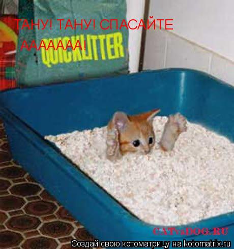 ТАНУ! ТАНУ! СПАСАЙТЕ ААААААА!... Котоматрица: ТАНУ! ТАНУ! СПАСАЙТЕ ААААААА!