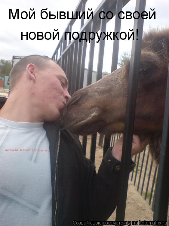 Мой бывший со своей новой подружкой!... Котоматрица: Мой бывший со своей новой подружкой!