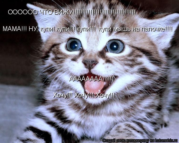 ОООООО ЧТО ВИЖУ!!!!!!!!!!!!!!!!!!!!!!!!!!!!!!!!! МАМА!!! НУ, купи! купи!!! купи!!! купи мышь на пало... Котоматрица: ОООООО ЧТО ВИЖУ!!!!!!!!!!!!!!!!!!!!!!!!!!!!!!!!! МАМА!!! НУ, купи! купи!!! купи!!! купи мышь на палочке!!!! АААААААА!!!!!! Хочу!!! Хочу!!! Хочу!!!