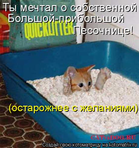 Ты мечтал о собственной Большой-прибольшой Песочнице! (остарожнее с желаниями)... Котоматрица: Ты мечтал о собственной Большой-прибольшой Песочнице! (остарожнее с желаниями)