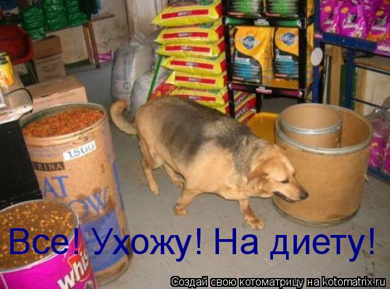 Все! Ухожу! На диету!... Котоматрица: Все! Ухожу! На диету!