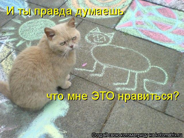 И ты правда думаешь что мне ЭТО нравиться?... Котоматрица: И ты правда думаешь что мне ЭТО нравиться?