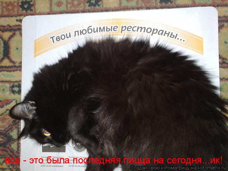 все - это была последняя пицца на сегодня...ик!... Котоматрица: все - это была последняя пицца на сегодня...ик!