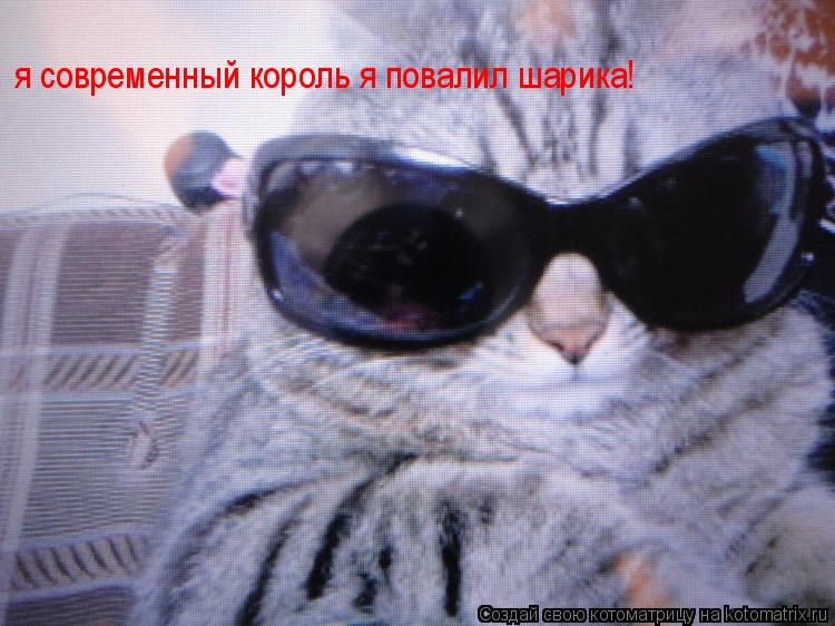 я современный король я повалил шарика!... Котоматрица: я современный король я повалил шарика!