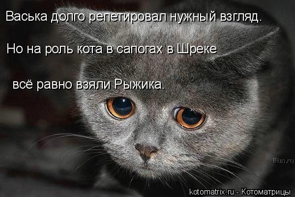 Васька долго репетировал нужный взгляд. Но на роль кота в сапогах в Шреке всё равно взяли Рыжика.... Котоматрица: Васька долго репетировал нужный взгляд. Но на роль кота в сапогах в Шреке всё равно взяли Рыжика.