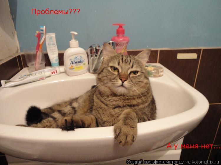 Проблемы??? А у меня нет...... Котоматрица: Проблемы??? А у меня нет...