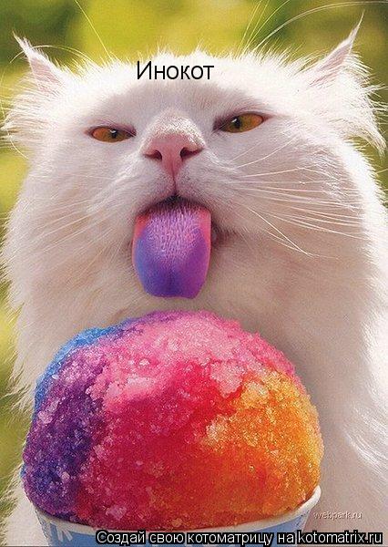 Инокот... Котоматрица: Инокот