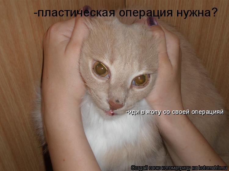 -иди в жопу со своей операцияй -пластическая операция нужна?... Котоматрица: -иди в жопу со своей операцияй -пластическая операция нужна?
