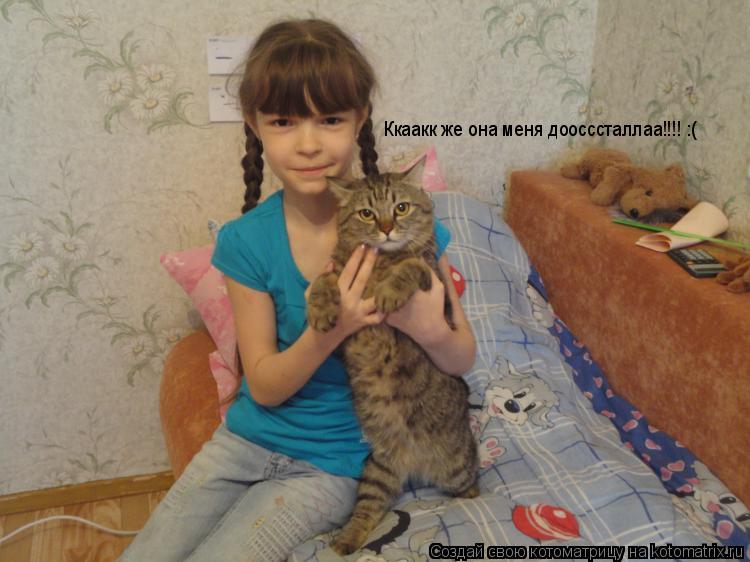 Ккаакк же она меня доосссталлаа!!!! :(... Котоматрица: Ккаакк же она меня доосссталлаа!!!! :(