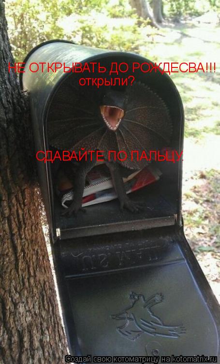 НЕ ОТКРЫВАТЬ ДО РОЖДЕСВА!!! открыли? СДАВАЙТЕ ПО ПАЛЬЦУ.... Котоматрица: НЕ ОТКРЫВАТЬ ДО РОЖДЕСВА!!! открыли? СДАВАЙТЕ ПО ПАЛЬЦУ.