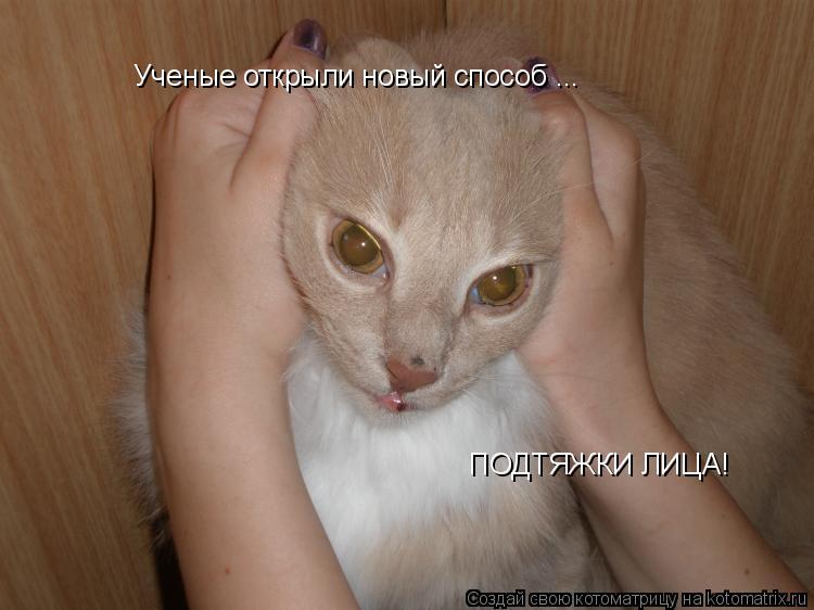 Ученые открыли новый способ ... ПОДТЯЖКИ ЛИЦА!... Котоматрица: Ученые открыли новый способ ... ПОДТЯЖКИ ЛИЦА!